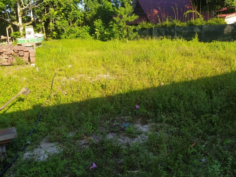 Servises de Nettoyage