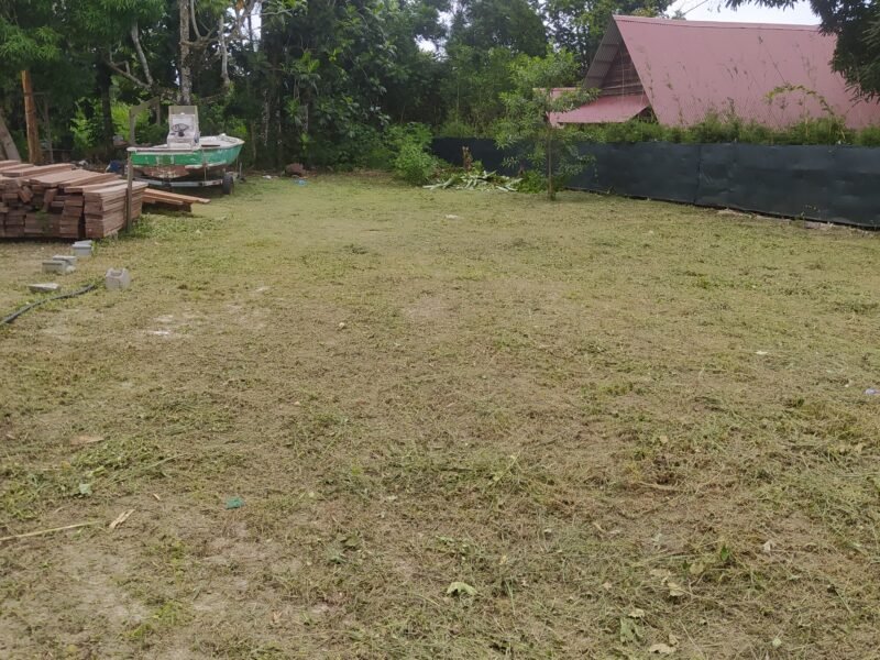 Servises de Nettoyage