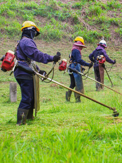 Services de débroussaillage